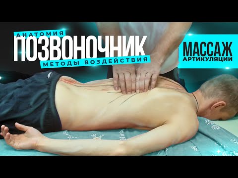 Видео: Способы воздействия на позвоночник при сколиотической осанке. Тонизация и расслабление мышц спины