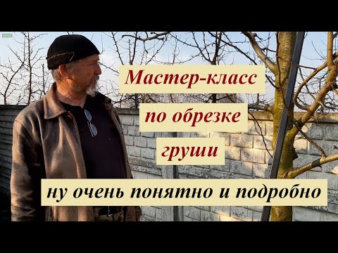 Видео: Обрезка груши с подробнейшими объяснениями