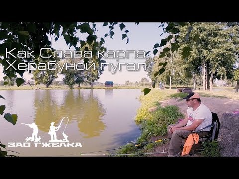 Видео: Карп на Херабуну. Или, как Слава карпа Херабуной пугал, а он не боялся.