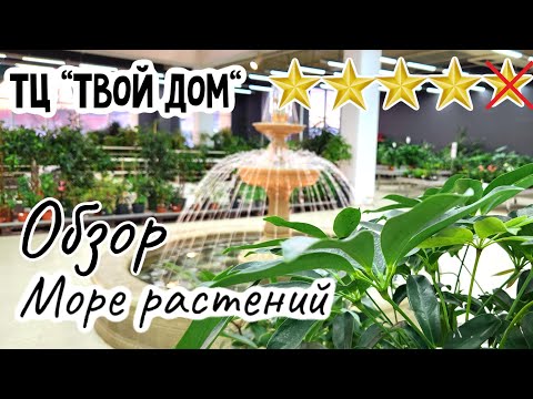 Видео: Обзор растений в садовом центре Твой Дом