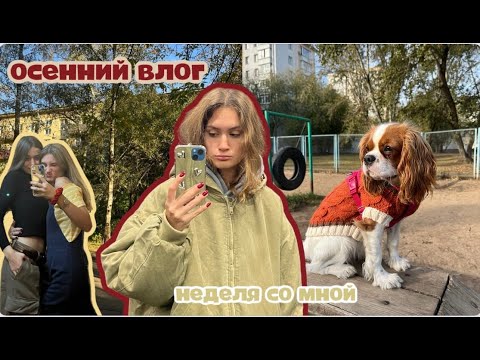Видео: НЕДЕЛЬНЫЙ ВЛОГ //  моя осень, спорт и новая прическа