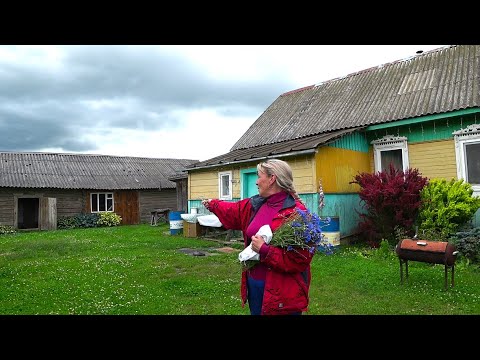 Видео: В деревне Беларуси Печальный сезон, но надежда ещё есть...