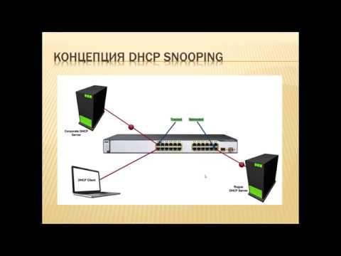 Видео: Конфигурация dhcp snooping на оборудовании Cisco