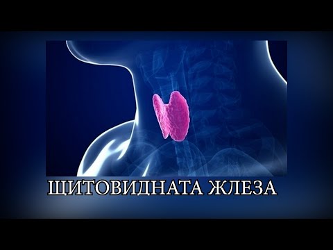 Видео: Болестите на щитовидната жлеза