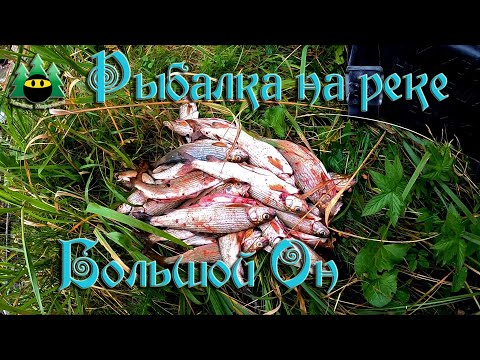 Видео: Рыбалка на реке Большой Он