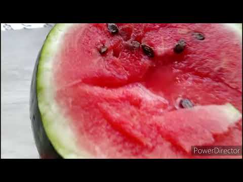 Видео: Обзор покупок и несколько кадров из самых тёплых дней.