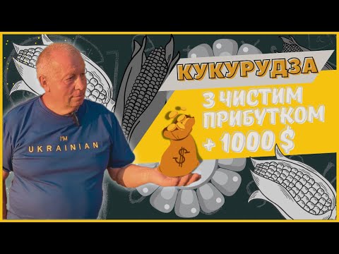 Видео: Кукурудза 🌽| З чистим прибутком 💰 +1000 $ |