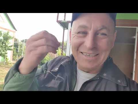 Видео: Розпаковка  субтропіків , на Вінниччині. 