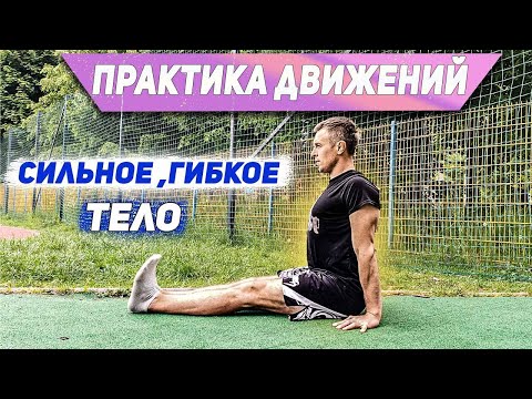 Видео: СИЛЬНОЕ, ГИБКОЕ ТЕЛО за 30-минут | Активные движения для растяжки | Animal Flow