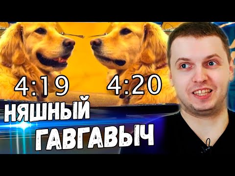 Видео: ПАПИЧ ОРЁТ с ГАВГАВЫЧА! НАЙС ПЁСИК! ПАПИЧ СМОТРИТ ВИДОСИКИ