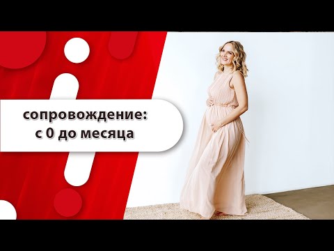 Видео: Сопровождение с 0 до месяца