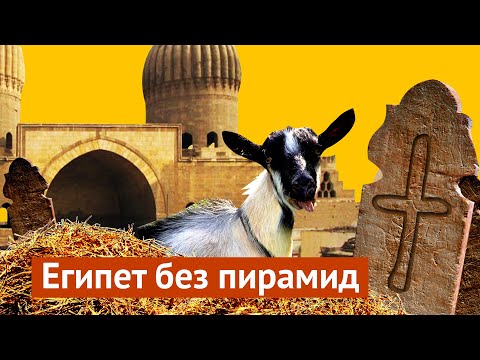 Видео: Нетуристический Каир: мусор, кладбище и свиньи