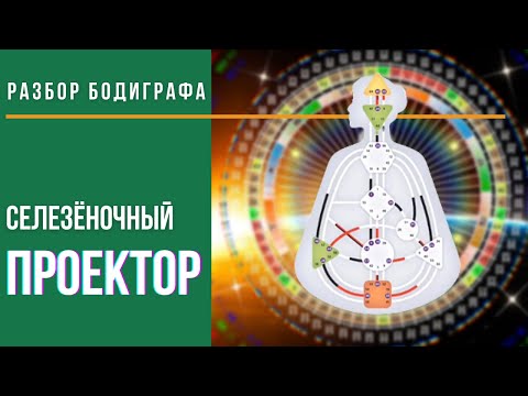 Видео: Селезеночный ПРОЕКТОР. Разбор бодиграфа. Дизайн Человека