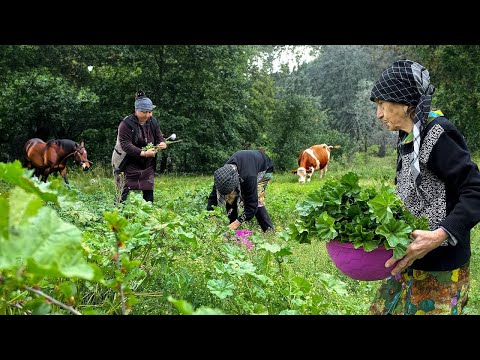 Видео: 100-вековой рецепт приготовления мальвы! Мы собрали мальву и приготовили вкусные рецепты.