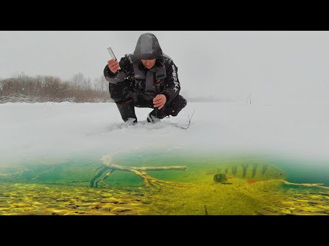 Видео: Бонус на Оке и  Лещ в Глухозимье