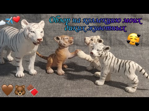 Видео: МОЯ КОЛЛЕКЦИЯ ДИКИХ ЖИВОТНЫХ 🐯🦁