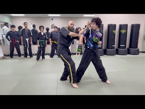 Видео: Кунг-фу «Тигр и Журавль»: боевая система «Хунгар»