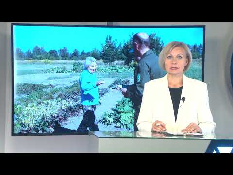 Видео: Профилактическая акция «Зеленый щит»