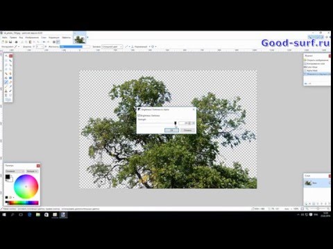 Видео: Как вырезать волосы, мех и другие мелкие детали в Paint.net
