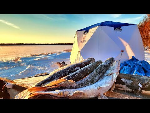 Видео: СЛУЧИЛОСЬ НЕПРЕДВИДЕННОЕ!!! ОСТАЛСЯ ОДИН НА ЛЬДУ! Рыбалка первый лёд 2025-2026г.