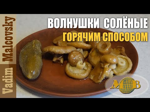 Видео: Волнушки солёные горячим способом или как засолить волнушки. Мальковский Вадим