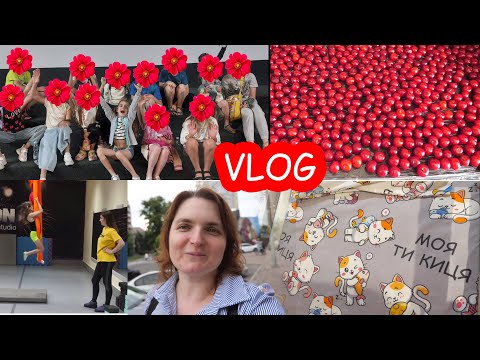 Видео: VLOG Лагерь. День 3. Замораживаю вишни. Почему расплакалась Алиса