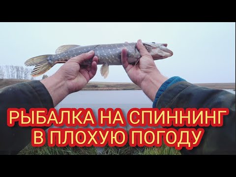 Видео: Рыбалка на спиннинг в плохую  погоду.