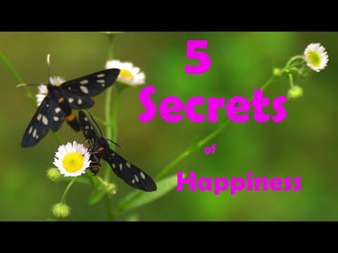 Видео: 5 Moments to Be Happy / 5 Моментов быть счастливым.