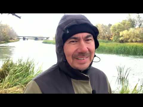 Видео: Рыбалка на удочку,осенняя плотва#уральскзко #казахстан #рыбалка #удочка #плотва 