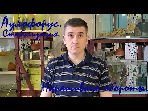 Видео: Аулофорус. Стабилизация. Наращиваем обороты.