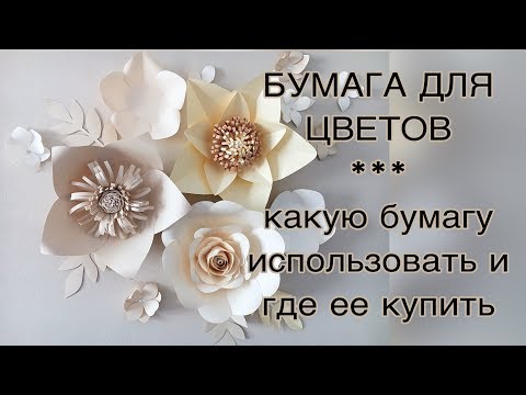 Видео: БУМАЖНЫЕ ЦВЕТЫ. КАКУЮ БУМАГУ ПОКУПАТЬ ДЛЯ ЦВЕТОВ И ГДЕ? Все о бумаге и поставщиках.