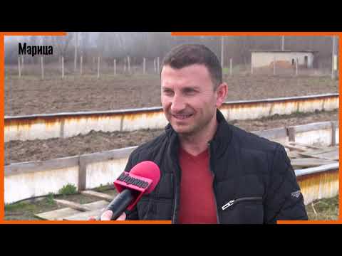 Видео: Отглеждането на охлюви – от хоби до бизнес