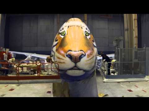 Видео: От том, как красили Boeing 747-400 в Амурского тигра