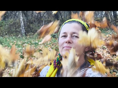 Видео: гарного ранку друзі