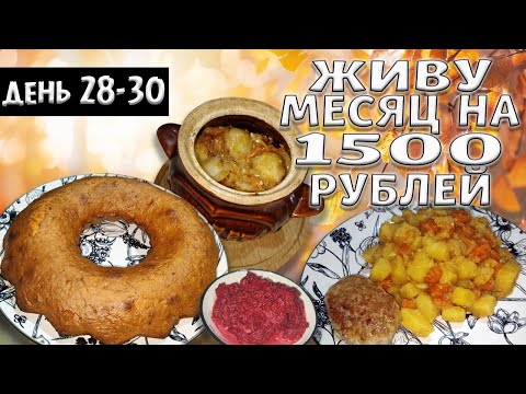 Видео: Выживаю месяц на 1500 рублей. Осень 2024 год. День 28-30.