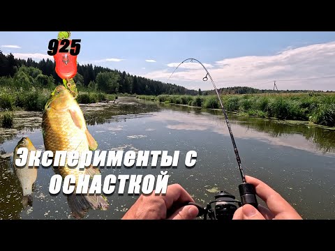 Видео: Как поймать карася на спиннинг: ТОП оснастки и трофейный улов!