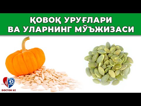 Видео: УШБУ УРУҒЛАРНИ ХАР КУН ЕДИМ ВА МАНА МЕНГА НИМА БЎЛДИ. ҚОВОҚ УРУҒЛАРИ. СЕМЕНА ТЫКВЫ