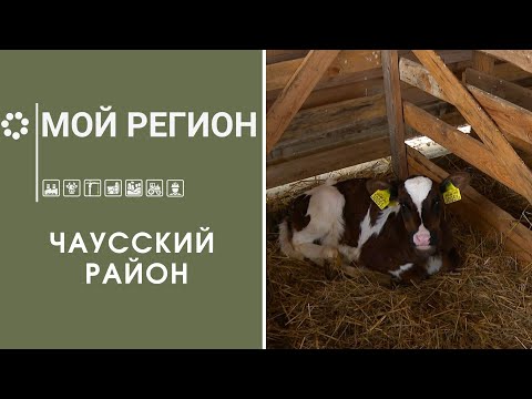 Видео: Как выбрать самый сладкий батон? / Удобрение из магнита/ Лавка травницы/ Мой регион — Чаусский район