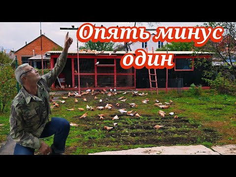 Видео: На молодом поставить крест ❌