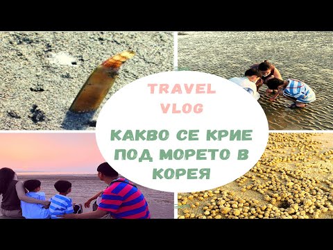 Видео: TRAVEL VLOG / Ден 1- настаняване - огромен отлив - какво видяхме по морското дъно