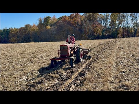 Видео: Срезание кукурузной стерни, как в 1950 году
