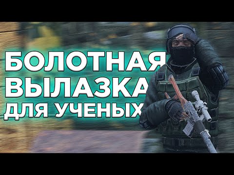 Видео: БОЛОТНАЯ ВЫЛАЗКА в DayZone Stalker RP