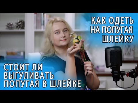 Видео: ШЛЕЙКА ДЛЯ ПОПУГАЕВ | КАК ОДЕВАТЬ ШЛЕЙКУ И СТОИТ ЛИ В ШЛЕЙКЕ ВЫГУЛИВАТЬ ПОПУГАЯ НА УЛИЦЕ