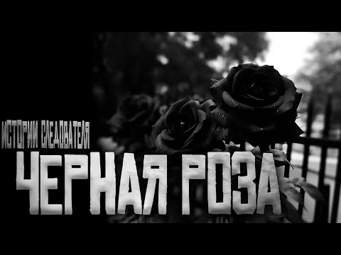 Видео: Чёрная Роза — Истории Следователя... Страшные истории на ночь.Страшилки на ночь.