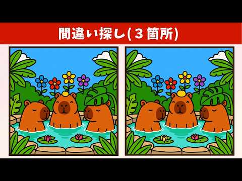 Видео: Найдите 3 отличия | Иллюстрация Версия #2028