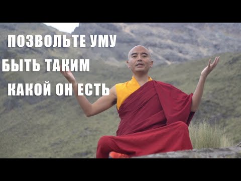 Видео: Позволить уму быть таким какой он есть | Мингьюр Ринпоче