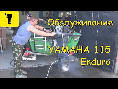 Видео: Техническое облуживание Yamaha 115