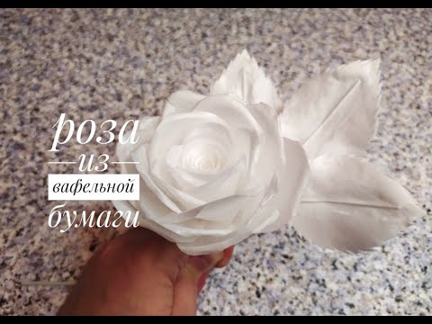 Видео: Роза из вафельной бумаги/waffle rose