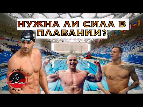 Видео: Нужно ли ПЛОВЦУ качаться в тренажерном зале?