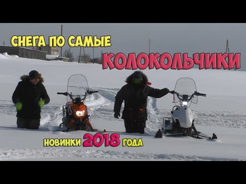 Видео: Жесткая заруба ЛИДЕР-АЛЬФА 150 и Irbis Dingo T150. Кто кого?